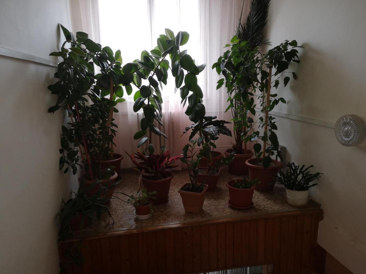 מלון מיכלובצ'ה Biela Labut מראה חיצוני תמונה